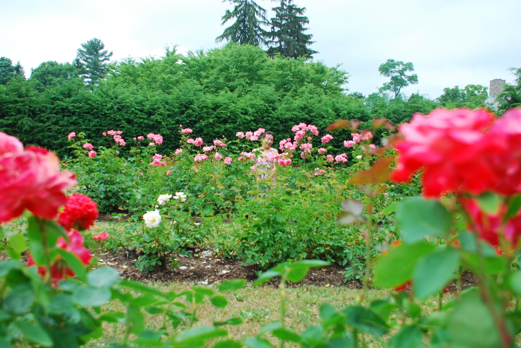 DSC_1571.JPG